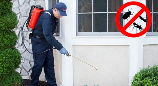 Söğüt Fare İlaçlama böcek ilaçlama ve haşere kontrolü — ilaclama-tr.com